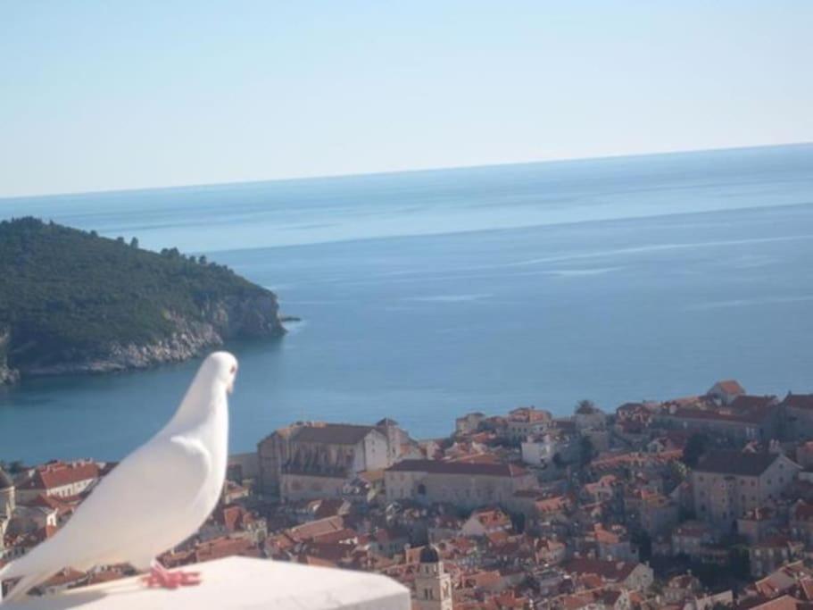 Romantic Ap,With Amazing View Dubrovnik Exteriör bild
